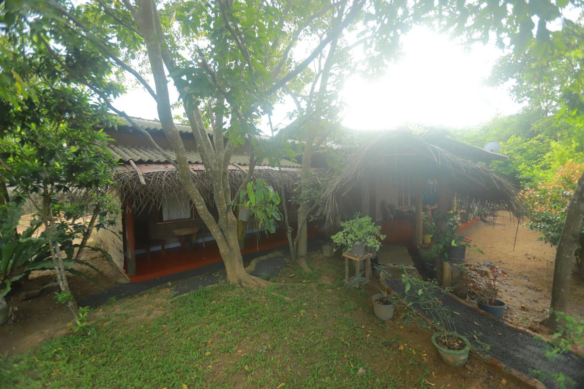 Dinna Nature Hostel Sigiriya Exteriér fotografie